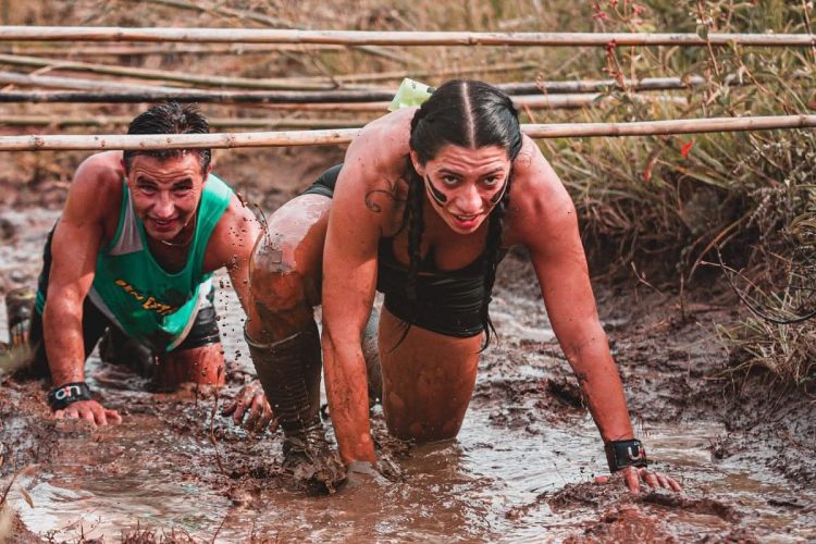 04869087-e268-4259-acf3-8d16522cc71a