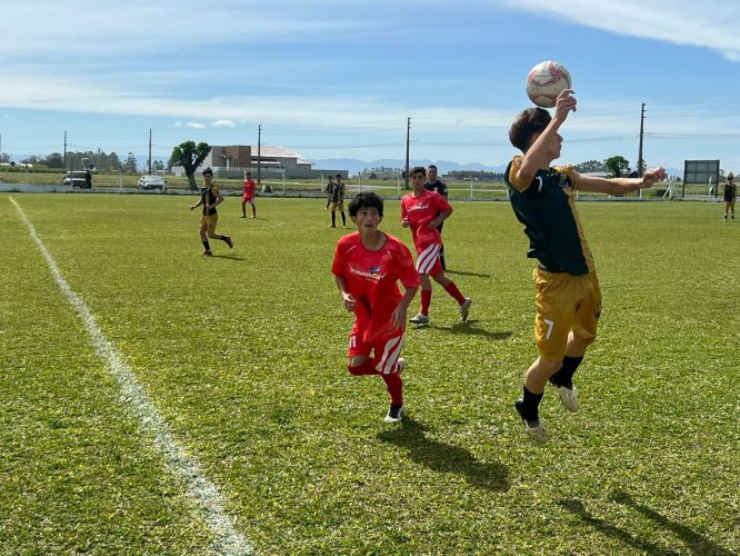 239dd8f7-ebc4-4b17-8288-42a675f6bfb7